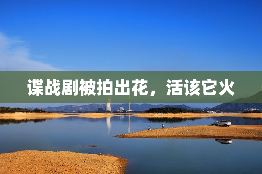 谍战剧被拍出花，活该它火