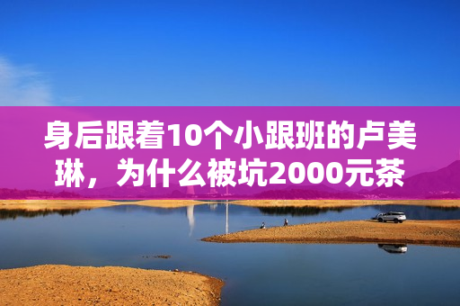 身后跟着10个小跟班的卢美琳,为什么被坑2000元茶水后没找她打架 身后跟着10个小跟班的卢美琳,为什么被坑2000元茶水后没找她打架