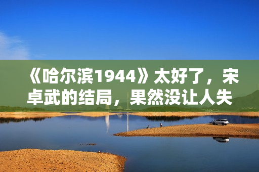 《哈尔滨1944》太好了，宋卓武的结局，果然没让人失望