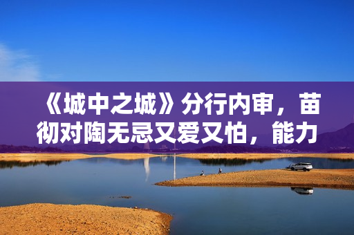 《城中之城》分行内审，苗彻对陶无忌又爱又怕，能力超群惹人妒