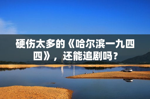 硬伤太多的《哈尔滨一九四四》，还能追剧吗？