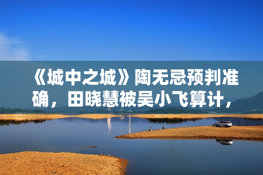 《城中之城》陶无忌预判准确，田晓慧被吴小飞算计，沈婧袖手旁观