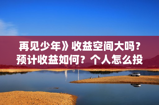 再见少年》收益空间大吗？预计收益如何？个人怎么投资(再见少年有彩蛋吗)