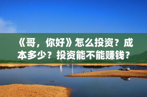 《哥，你好》怎么投资？成本多少？投资能不能赚钱？(哥哥hi你好)
