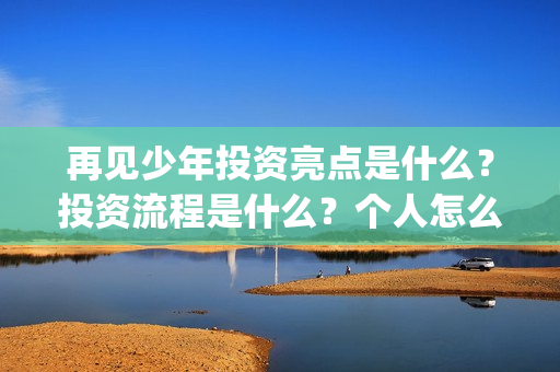 再见少年投资亮点是什么？投资流程是什么？个人怎么参与(再见少年联合出品方)