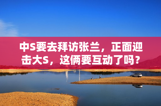 中S要去拜访张兰，正面迎击大S，这俩要互动了吗？