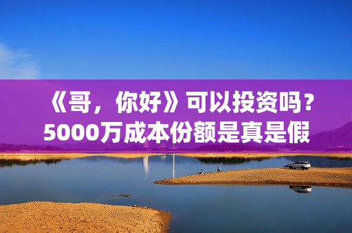 《哥，你好》可以投资吗？5000万成本份额是真是假？(你好哥哥表情包)