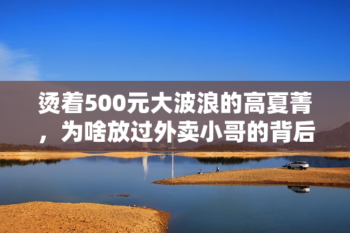 烫着500元大波浪的高夏菁，为啥放过外卖小哥的背后全是算计？