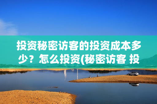 投资秘密访客的投资成本多少？怎么投资(秘密访客 投资方)