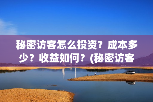 秘密访客怎么投资?成本多少?收益如何?(秘密访客怎么看) 秘密访客怎么投资?成本多少?收益如何?(秘密访客怎么看)