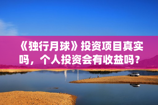 《独行月球》投资项目真实吗，个人投资会有收益吗？(独行月球票房预测)
