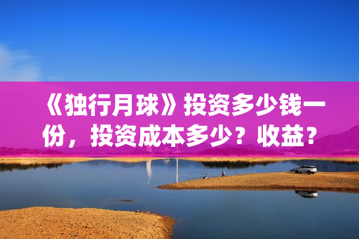 《独行月球》投资多少钱一份，投资成本多少？收益？(独行月球发行方)