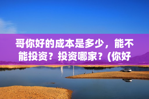 哥你好的成本是多少，能不能投资？投资哪家？(你好哥哥语音)