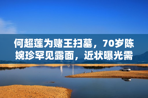 何超莲为赌王扫墓，70岁陈婉珍罕见露面，近状曝光需两人搀扶上山