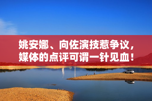 姚安娜、向佐演技惹争议，媒体的点评可谓一针见血！
