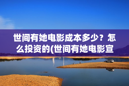 世间有她电影成本多少？怎么投资的(世间有她电影宣发)
