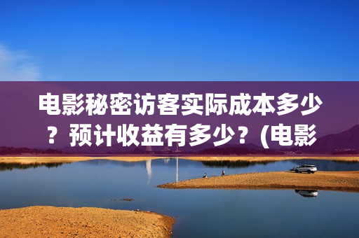 电影秘密访客实际成本多少？预计收益有多少？(电影秘密访客的真相)