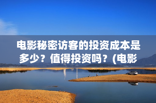 电影秘密访客的投资成本是多少?值得投资吗?(电影 秘密访客) 电影秘密访客的投资成本是多少?值得投资吗?(电影 秘密访客)