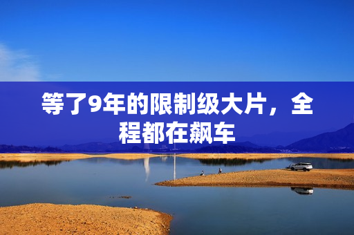 等了9年的限制级大片，全程都在飙车