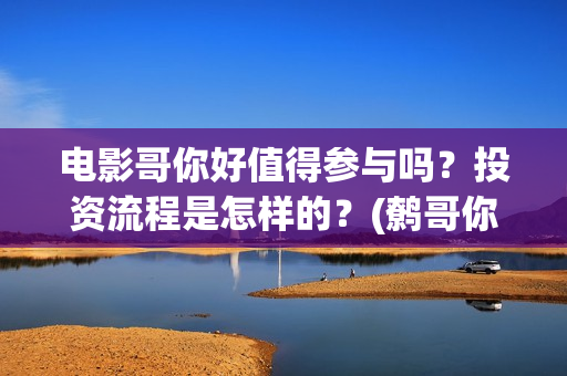 电影哥你好值得参与吗？投资流程是怎样的？(鹩哥你好教材)