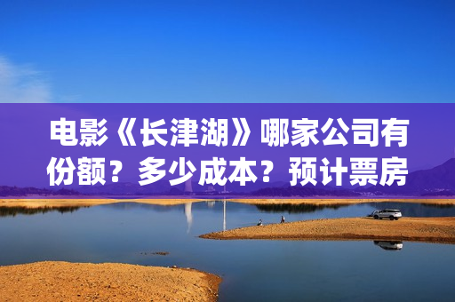 电影《长津湖》哪家公司有份额？多少成本？预计票房多少？(电影《长津湖》观后感400字)