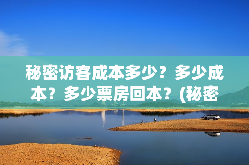 秘密访客成本多少？多少成本？多少票房回本？(秘密访客访客是谁)