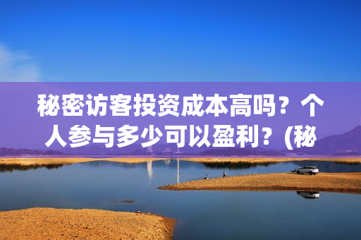 秘密访客投资成本高吗?个人参与多少可以盈利?(秘密访客电影投资效果价目表) 秘密访客投资成本高吗?个人参与多少可以盈利?(秘密访客电影投资效果价目表)