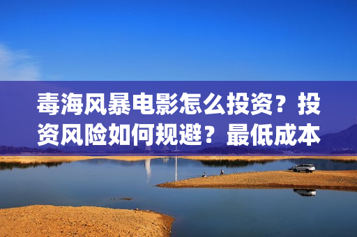 毒海风暴电影怎么投资？投资风险如何规避？最低成本多少？(毒海风暴上映时间)