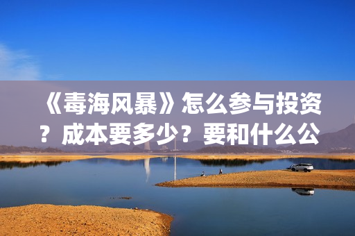 《毒海风暴》怎么参与投资？成本要多少？要和什么公司签？(毒海风暴成本)