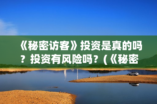 《秘密访客》投资是真的吗？投资有风险吗？(《秘密访客》剧情)