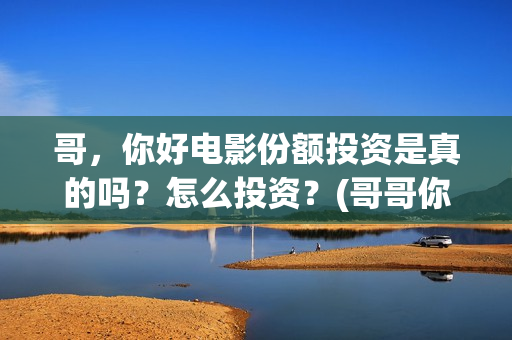 哥，你好电影份额投资是真的吗？怎么投资？(哥哥你好牛)