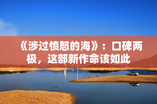 《涉过愤怒的海》：口碑两极，这部新作命该如此