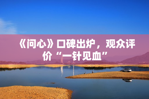 《问心》口碑出炉，观众评价“一针见血”