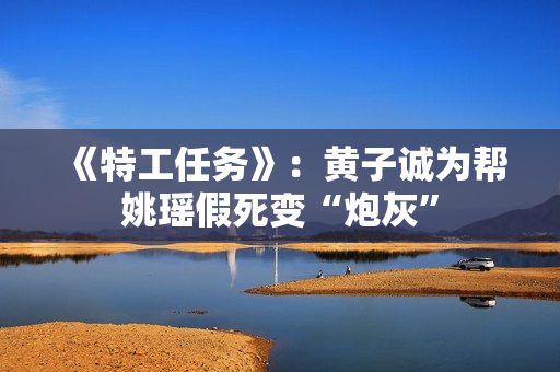 《特工任务》：黄子诚为帮姚瑶假死变“炮灰”