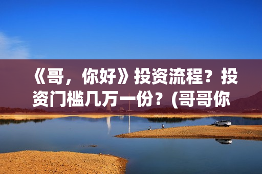 《哥，你好》投资流程？投资门槛几万一份？(哥哥你好语音)