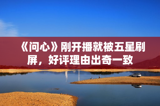 《问心》刚开播就被五星刷屏，好评理由出奇一致