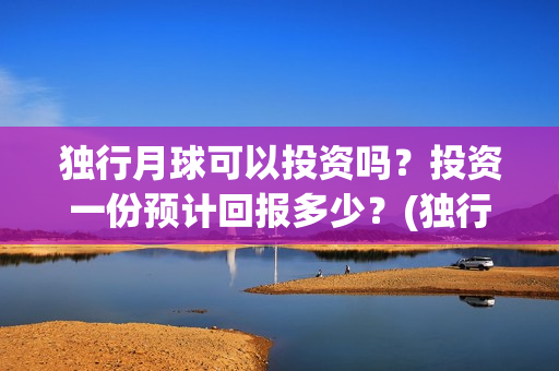 独行月球可以投资吗？投资一份预计回报多少？(独行月球结局什么意思)