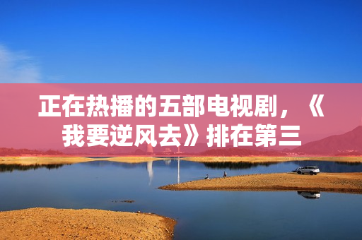 正在热播的五部电视剧，《我要逆风去》排在第三