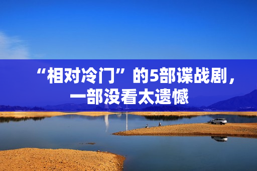 “相对冷门”的5部谍战剧，一部没看太遗憾