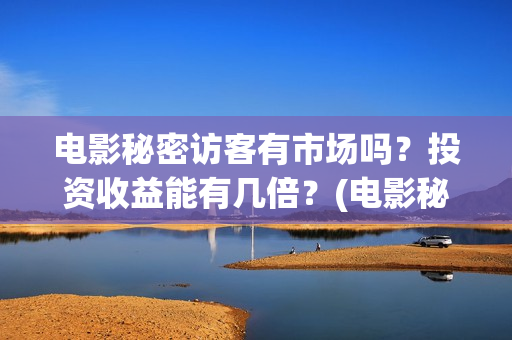 电影秘密访客有市场吗？投资收益能有几倍？(电影秘密访客有几部)