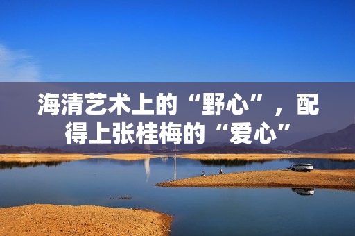 海清艺术上的“野心”，配得上张桂梅的“爱心”