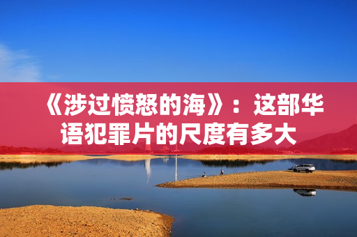 《涉过愤怒的海》：这部华语犯罪片的尺度有多大