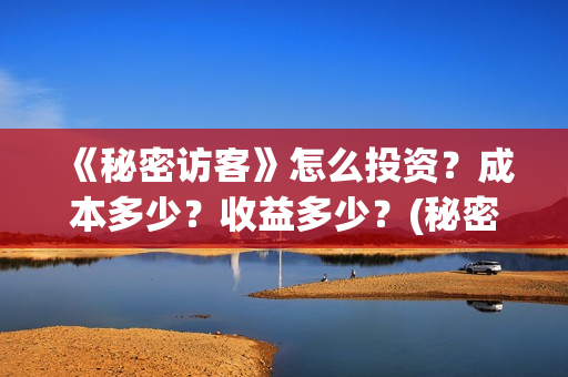 《秘密访客》怎么投资？成本多少？收益多少？(秘密访客详细解析)