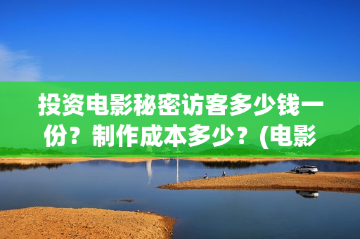 投资电影秘密访客多少钱一份？制作成本多少？(电影秘密简介)