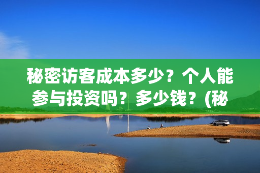 秘密访客成本多少？个人能参与投资吗？多少钱？(秘密访客总投资多少)
