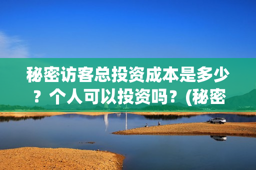 秘密访客总投资成本是多少？个人可以投资吗？(秘密访客总投资多少钱)