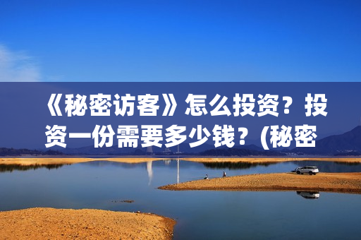 《秘密访客》怎么投资?投资一份需要多少钱?(秘密访客在讲啥) 《秘密访客》怎么投资?投资一份需要多少钱?(秘密访客在讲啥)