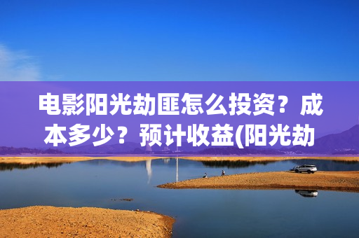 电影阳光劫匪怎么投资？成本多少？预计收益(阳光劫匪电影解说)