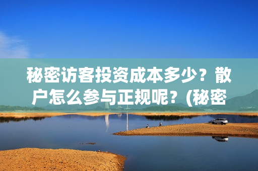 秘密访客投资成本多少？散户怎么参与正规呢？(秘密访客 投资方)