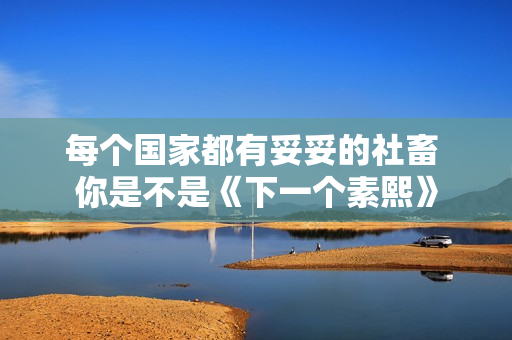 每个国家都有妥妥的社畜 你是不是《下一个素熙》